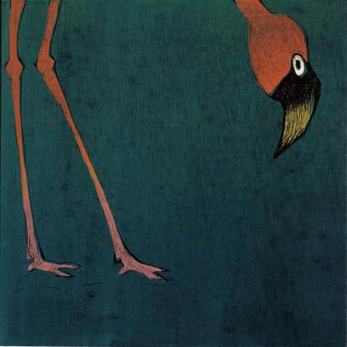Antje Wichtrey | Flamingo