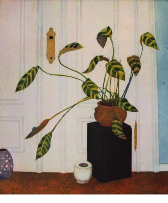 Jutta Votteler | An eine Zimmerpflanze