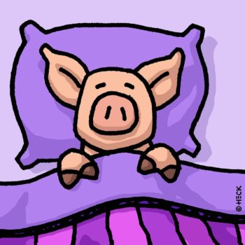 Ed Heck Pig In Blanket