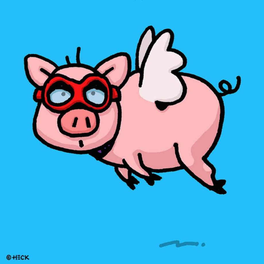 Ed Heck When Pigs Fly