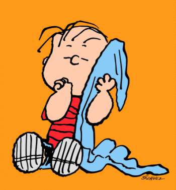Peanuts Linus Orange Leinwand