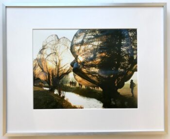 Christo Wrapped Trees - gerahmter Kunstdruck