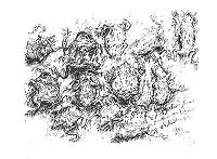 Günter Grass In diesem Sommer trocknen am Wegesrand die Kröten