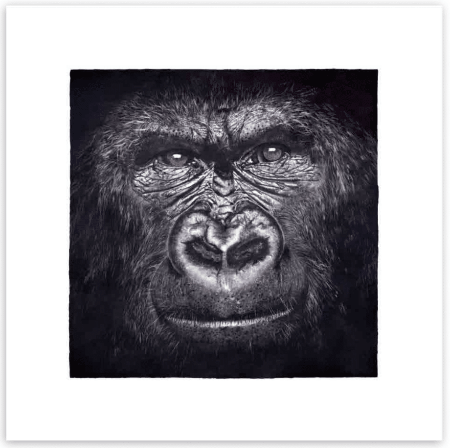 Dan Pyle Face to Face