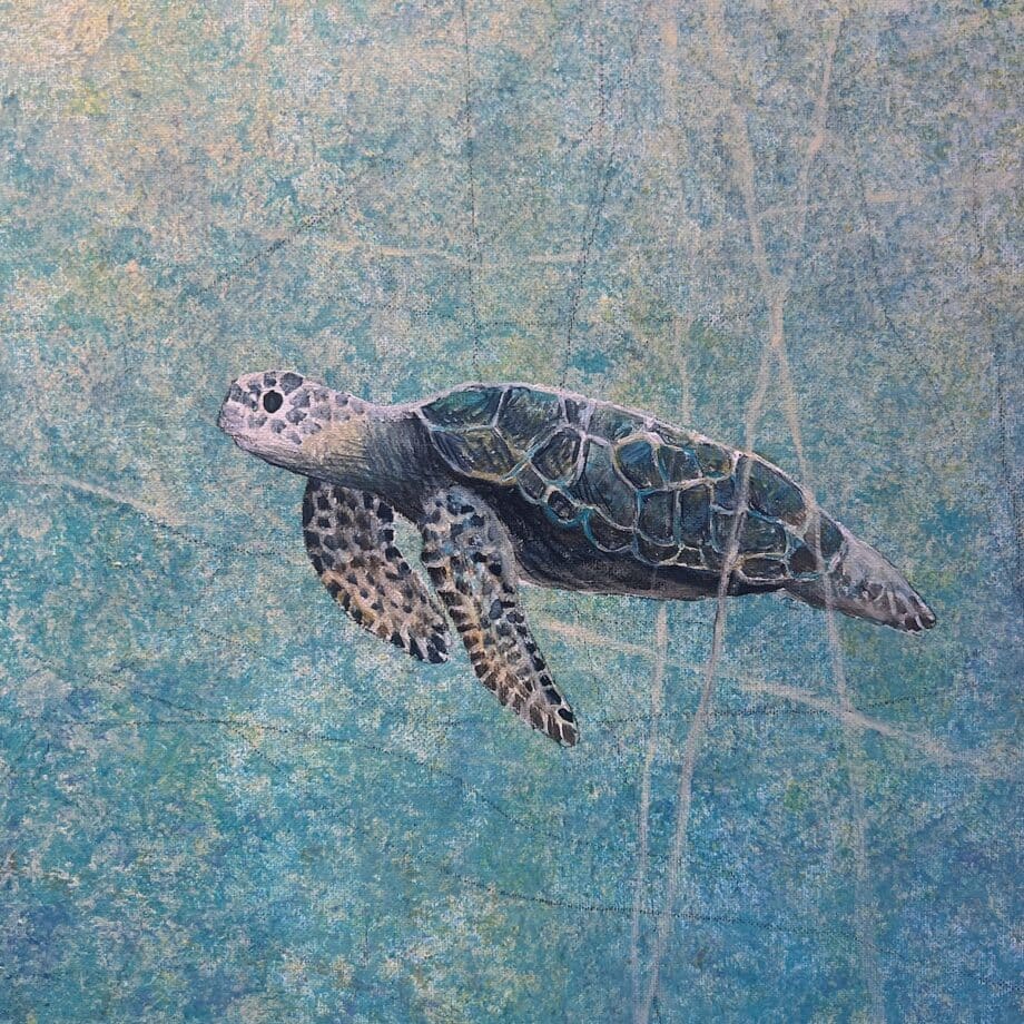 Antje Wichtrey schwerelos Schildkröten Unikat